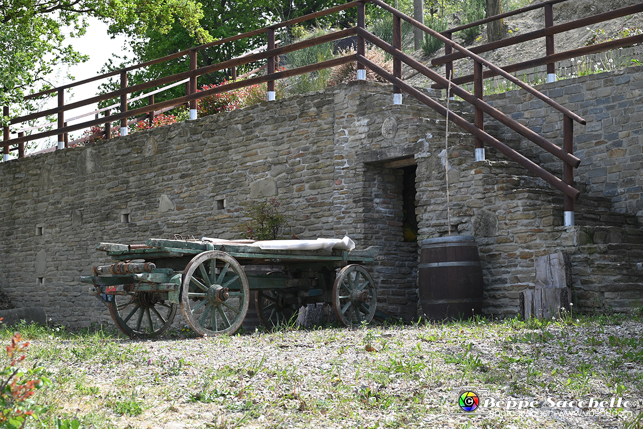VBS_3269 - Mango (Cuneo) - Gnomovia.jpg